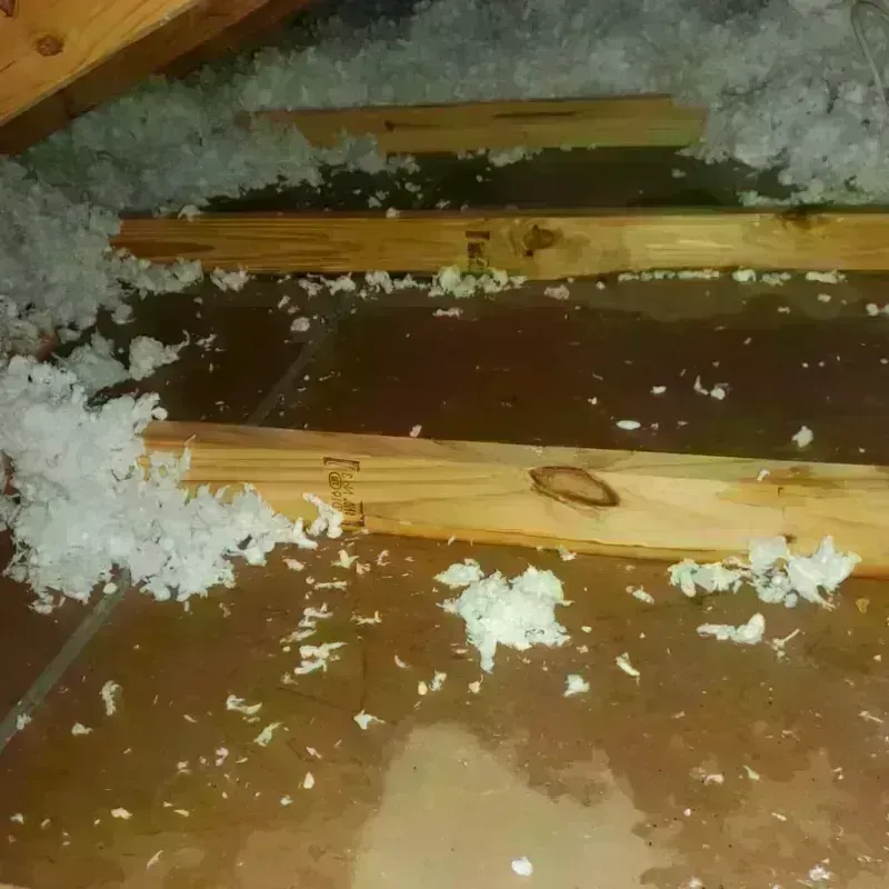 Attic Water Damage in Van Buren, MO