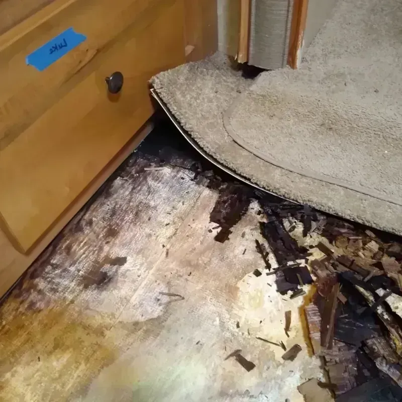 Wood Floor Water Damage in Van Buren, MO